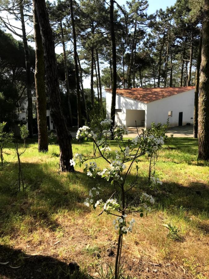Villa Colares Синтра Экстерьер фото