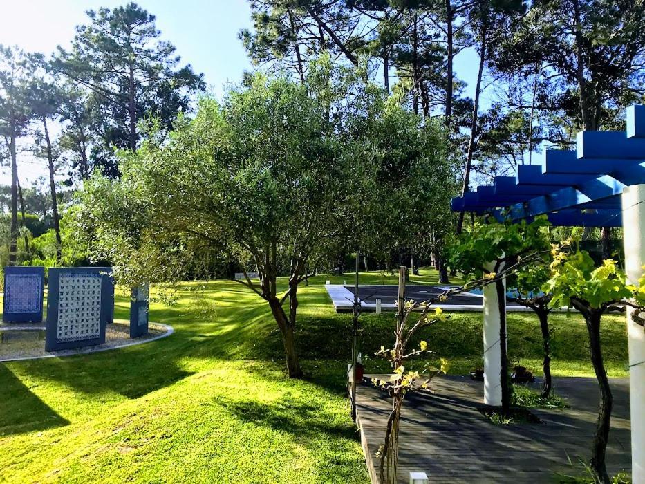 Villa Colares Синтра Экстерьер фото
